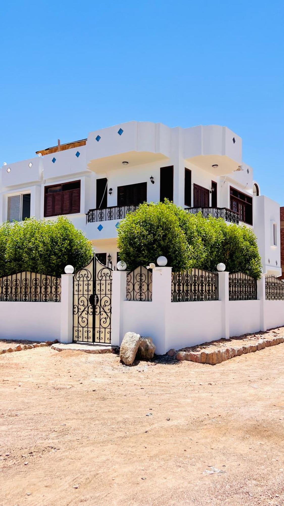 Rafiki Hostels - Dahab Exteriör bild